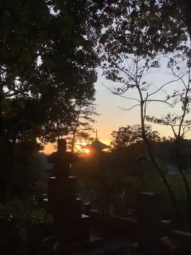 八事山 興正寺の自然