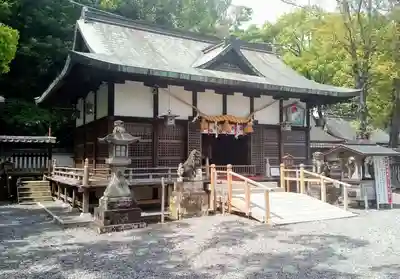 闘鶏神社の本殿・本堂