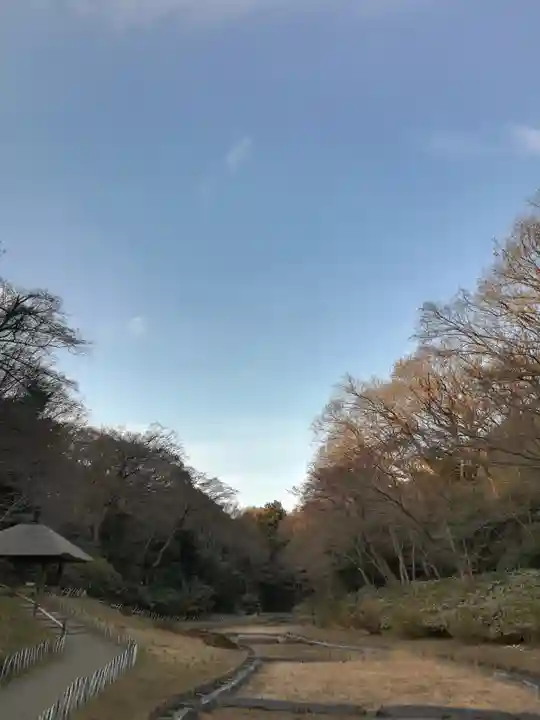 明治神宮の景色