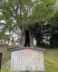 高源寺(茨城県)