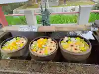 津島神社の手水舎