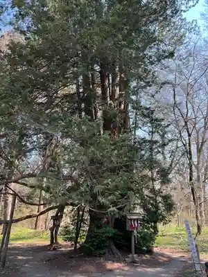伊佐須美神社(福島県)