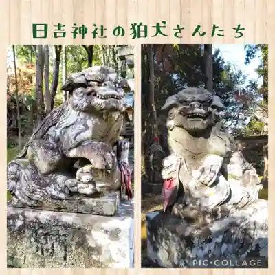 竹林寺の狛犬