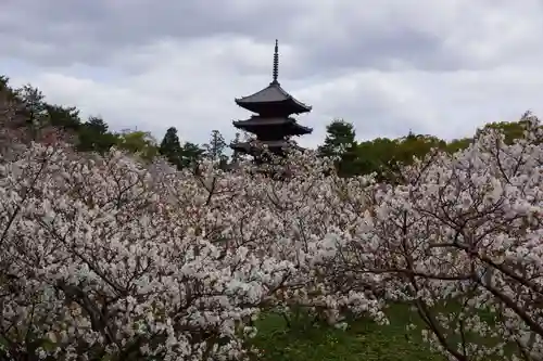 仁和寺(京都府)