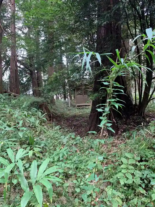 神社(名称不明)(千葉県)