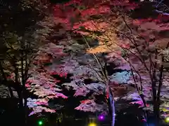 土津神社｜こどもと出世の神さまの自然