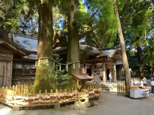 高千穂神社(宮崎県)
