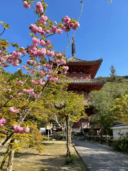 太山寺(兵庫県)