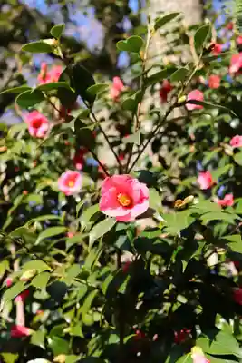 三津厳島神社(愛媛県)