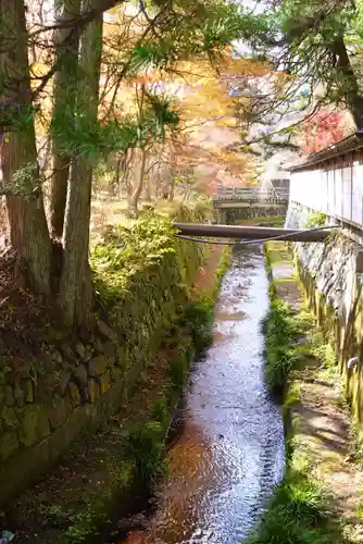 高野山金剛峯寺奥の院(和歌山県)