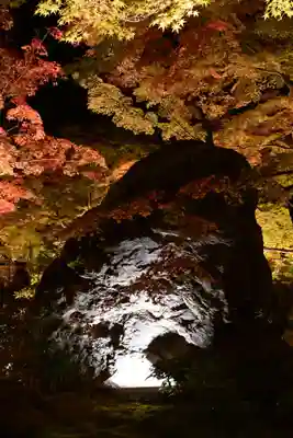 宝厳院(京都府)