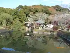 根来寺の庭園