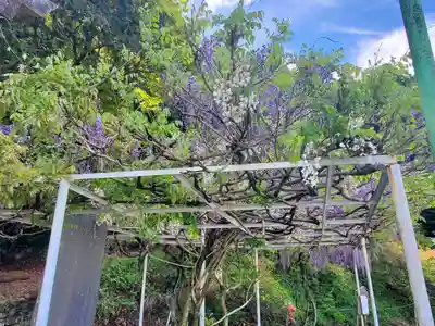 水使神社(栃木県)
