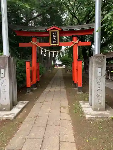 篠岡八幡大神社(埼玉県)