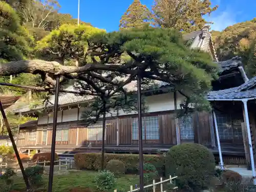 天恩寺(愛知県)