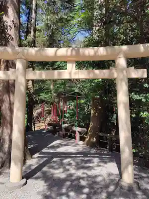 宝登山神社(埼玉県)