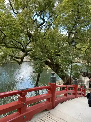 太宰府天満宮の自然