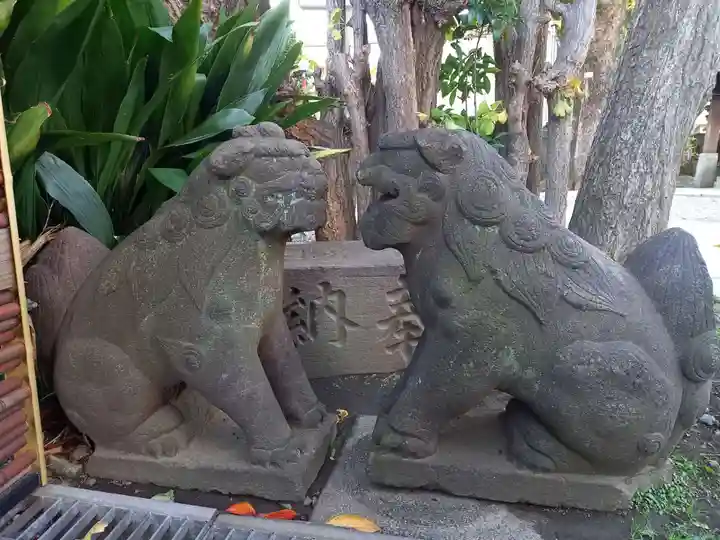 麻布氷川神社の狛犬