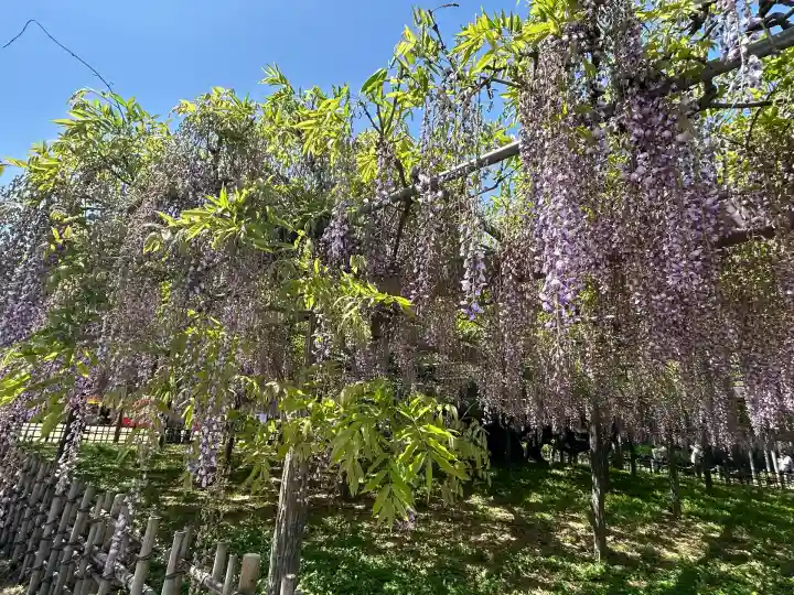 玉敷神社(埼玉県)