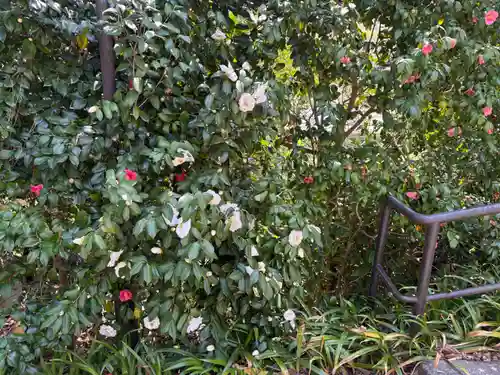 勝尾寺(大阪府)