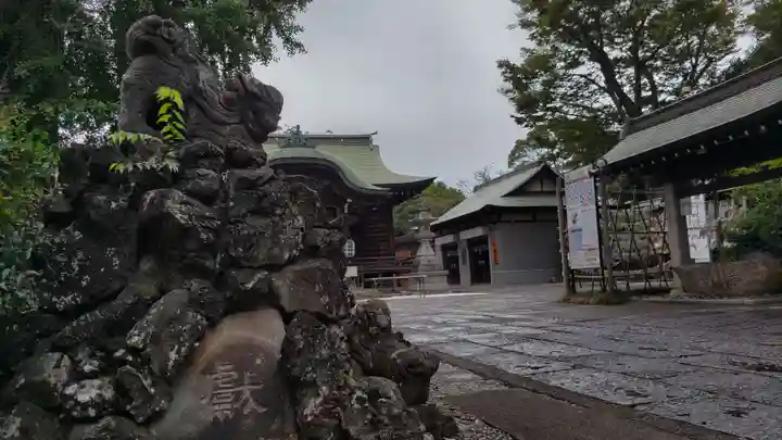 菊田神社の狛犬