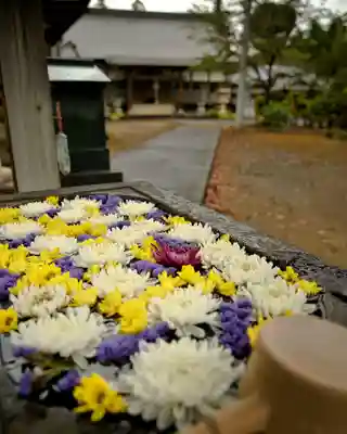 慈光寺(弓田ポックリ不動尊)(茨城県)