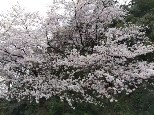 春日神社(福井県)