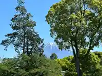 富士山本宮浅間大社(静岡県)