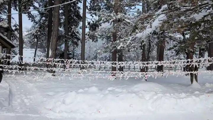 上川神社のおみくじ