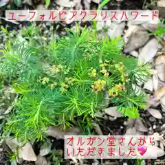 鹿島台神社の自然