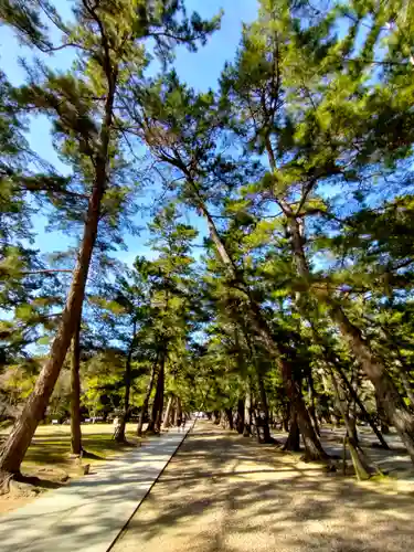出雲大社(島根県)
