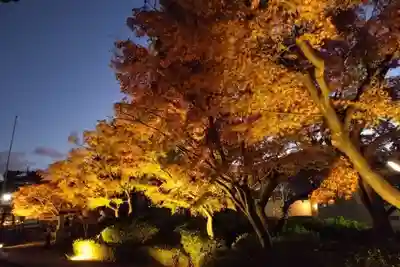 妙顯寺（妙顕寺）(京都府)