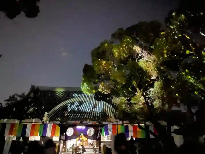 大樹寺(松安院大樹寺)の本殿・本堂