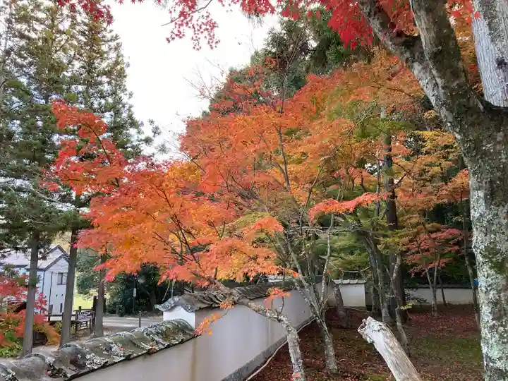 井山 宝福寺(岡山県)