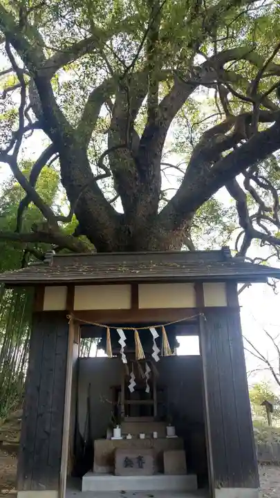 岩椿神社(岡山県)