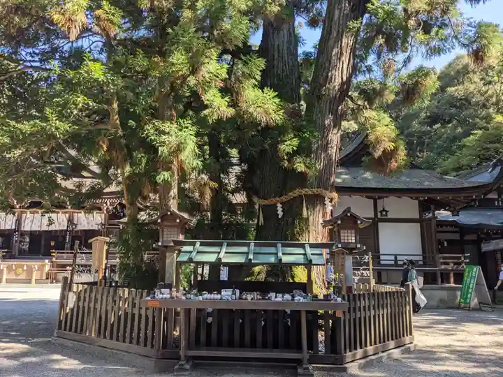 大神神社(奈良県)