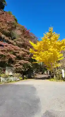 新大佛寺(三重県)