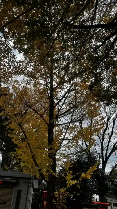 鳩森八幡神社(東京都)