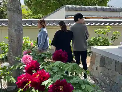 真言宗　善通寺派　薬王寺(香川県)