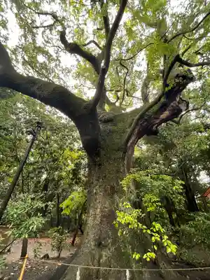 月夜見宮（豊受大神宮別宮）(三重県)