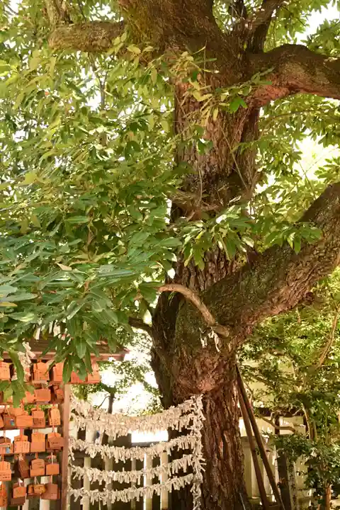 浪打八幡宮(香川県)