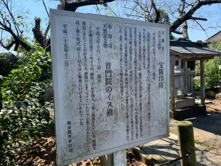 普門院(千葉県)