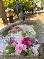 鹿追神社の手水舎