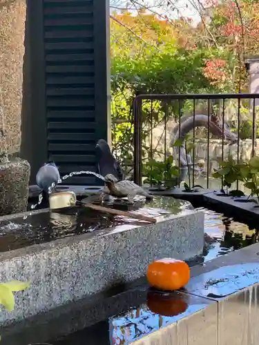 壬生寺(京都府)