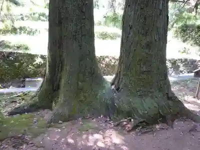 神内神社の自然