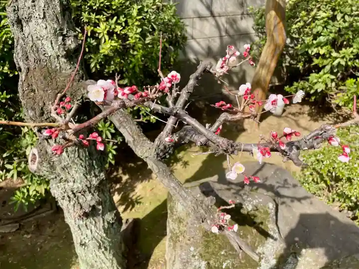 戒行寺の{uncategorized: "未分類", other: "その他", undefined: "問題あり", building: "その他建物", grave: "お墓", sacred_gate: "鳥居", guardian: "狛犬", statue: "像", buddha: "仏像", history: "歴史", nature: "自然", garden: "庭園", animal: "動物", pagoda: "塔", temizu: "手水舎", mountain_gate: "山門・神門", sanctuary: "本殿・本堂", subordinate: "末社・摂社", art: "芸術", scenery: "景色", jizo: "地蔵", ema: "絵馬", goshuin: "御朱印", omikuji: "おみくじ", items: "授与品その他", amulet: "お守り", goshuincho: "御朱印帳", eats: "食事", festival: "お祭り", votive_dance: "神楽", shichigosan: "七五三参", wedding: "結婚式", experience: "体験その他", initially: "初詣", around: "周辺", anti_infection: "感染症対策"}