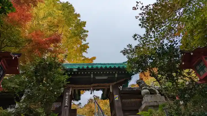 松ヶ崎大黒天 妙圓寺(妙円寺)(京都府)