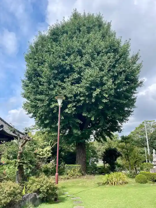 貞昌院(神奈川県)
