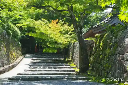 実光院(京都府)