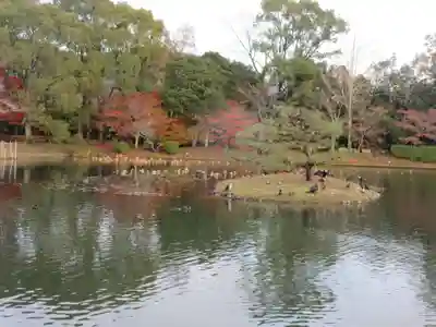 大覚寺(京都府)